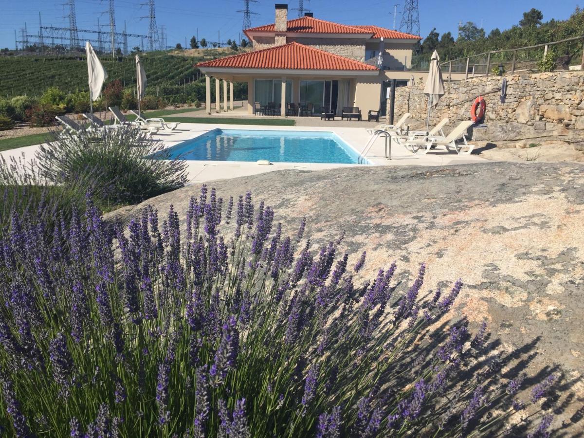 Quinta Bemboa Turismo Espaco Rural 아리세라 외부 사진