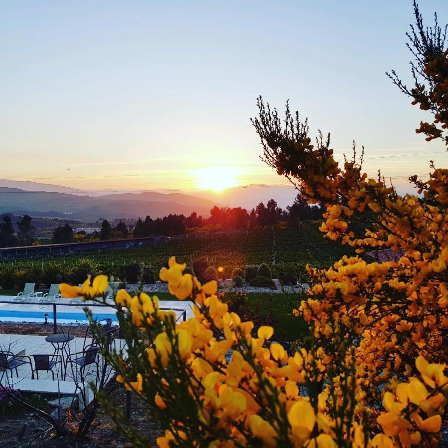 Quinta Bemboa Turismo Espaco Rural 아리세라 외부 사진