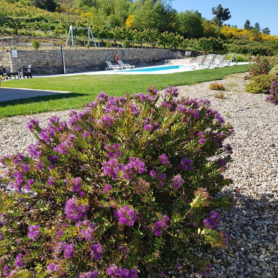 Quinta Bemboa Turismo Espaco Rural 아리세라 외부 사진
