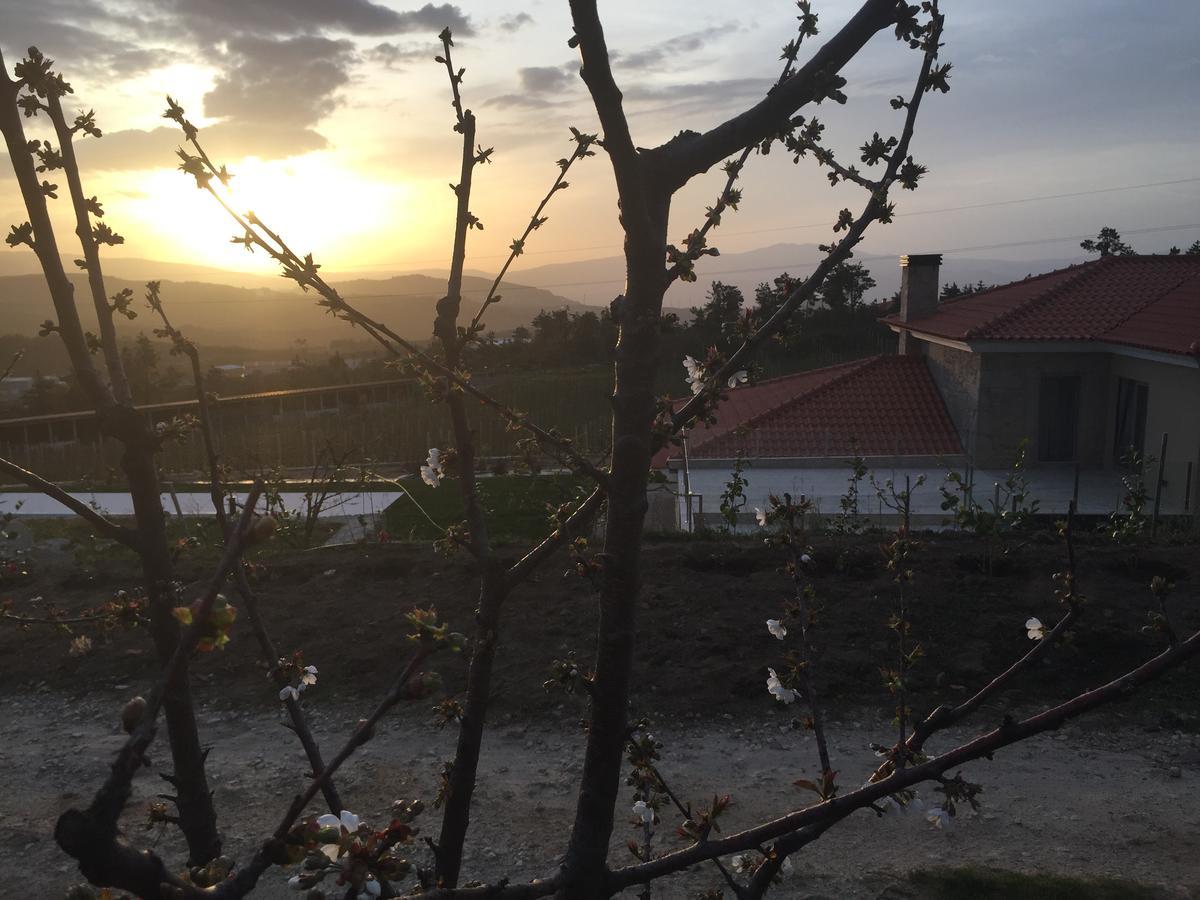 Quinta Bemboa Turismo Espaco Rural 아리세라 외부 사진