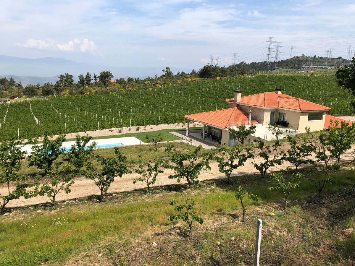 Quinta Bemboa Turismo Espaco Rural 아리세라 외부 사진