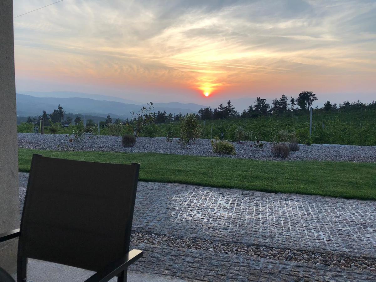 Quinta Bemboa Turismo Espaco Rural 아리세라 외부 사진
