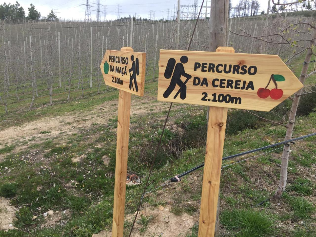 Quinta Bemboa Turismo Espaco Rural 아리세라 외부 사진