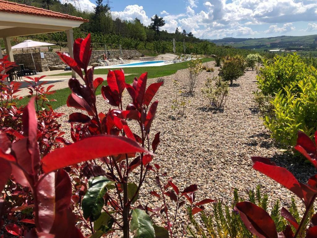 Quinta Bemboa Turismo Espaco Rural 아리세라 외부 사진