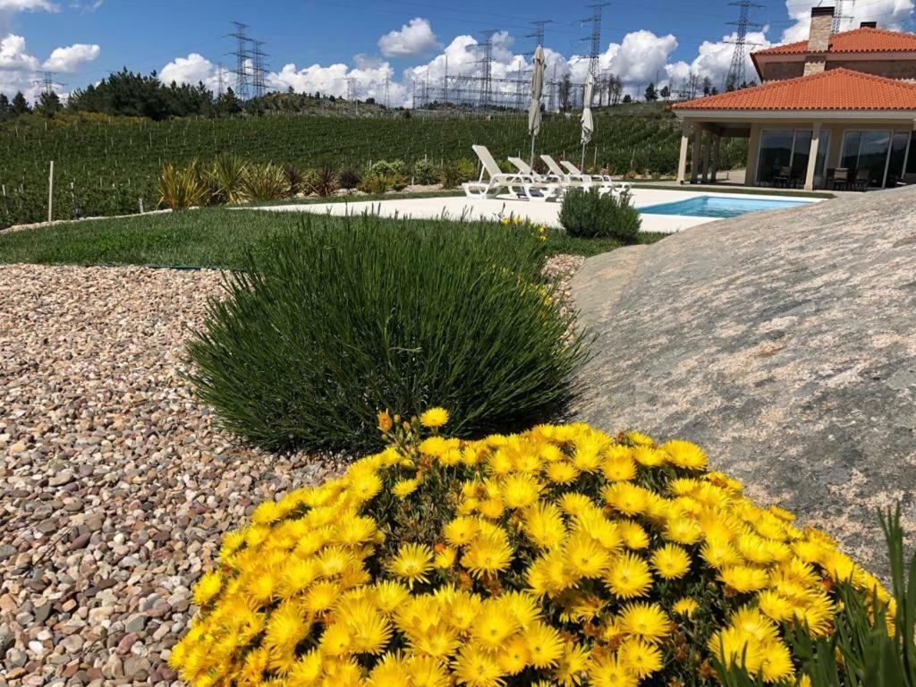 Quinta Bemboa Turismo Espaco Rural 아리세라 외부 사진